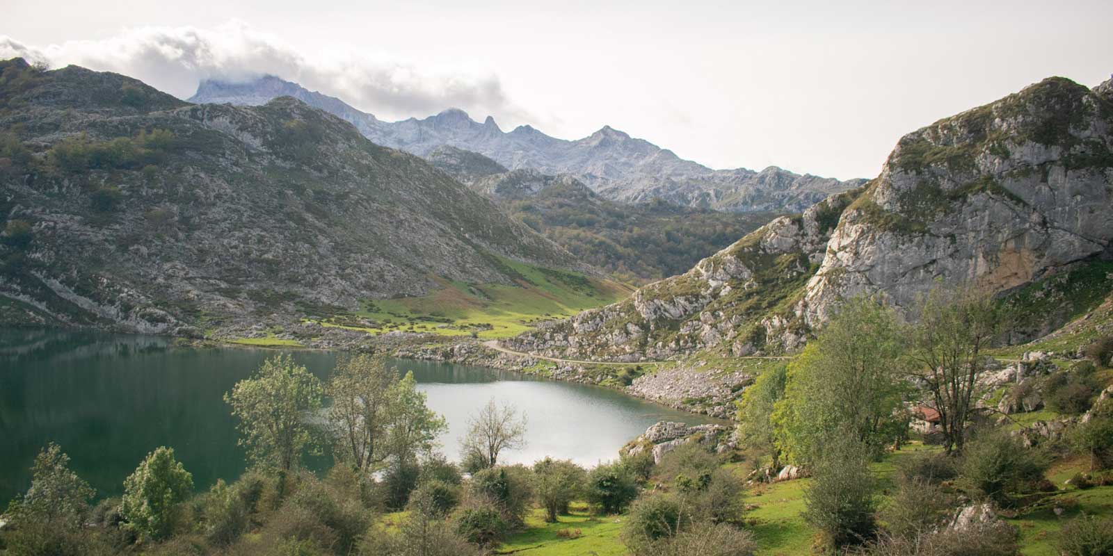 OCOA_SPAIN_COSTA_VERDE_EXPRESS_TRAIN_8